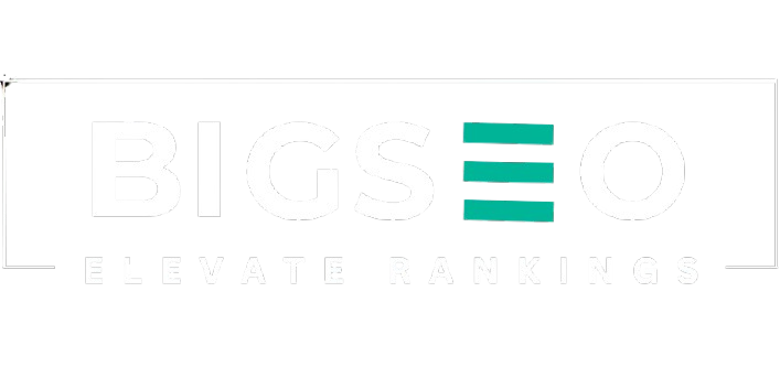 Logo of BigSEO.Net for the best Local SEO Services Results