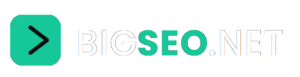 bigseo-logo-header-final