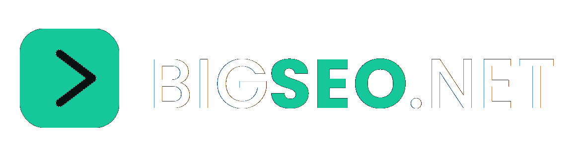BigSEO.Net primary logo