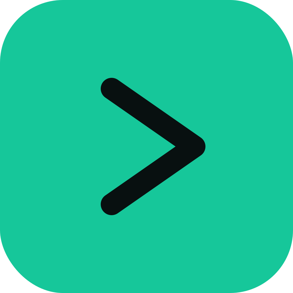 BigSEO.Net brand icon