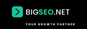 cropped-bigseo-logo-final-framed.png